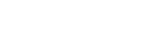 NWT-Main-Logo-White